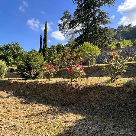 לוקה Borgo Al Canto Degli Alberi מראה חיצוני תמונה