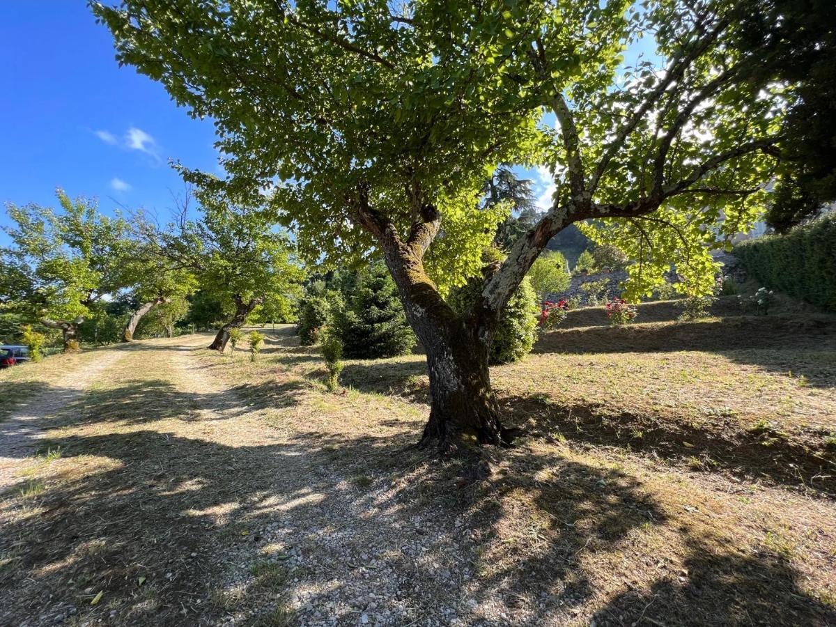 לוקה Borgo Al Canto Degli Alberi מראה חיצוני תמונה